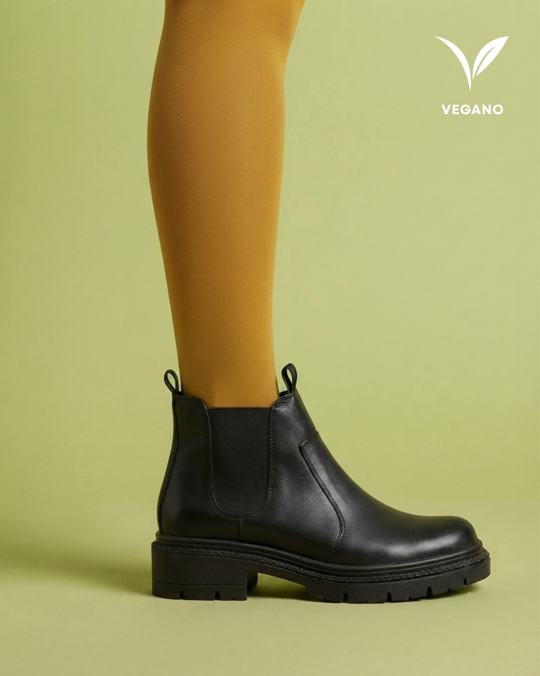 Bego - Vegano de Cactus - FP