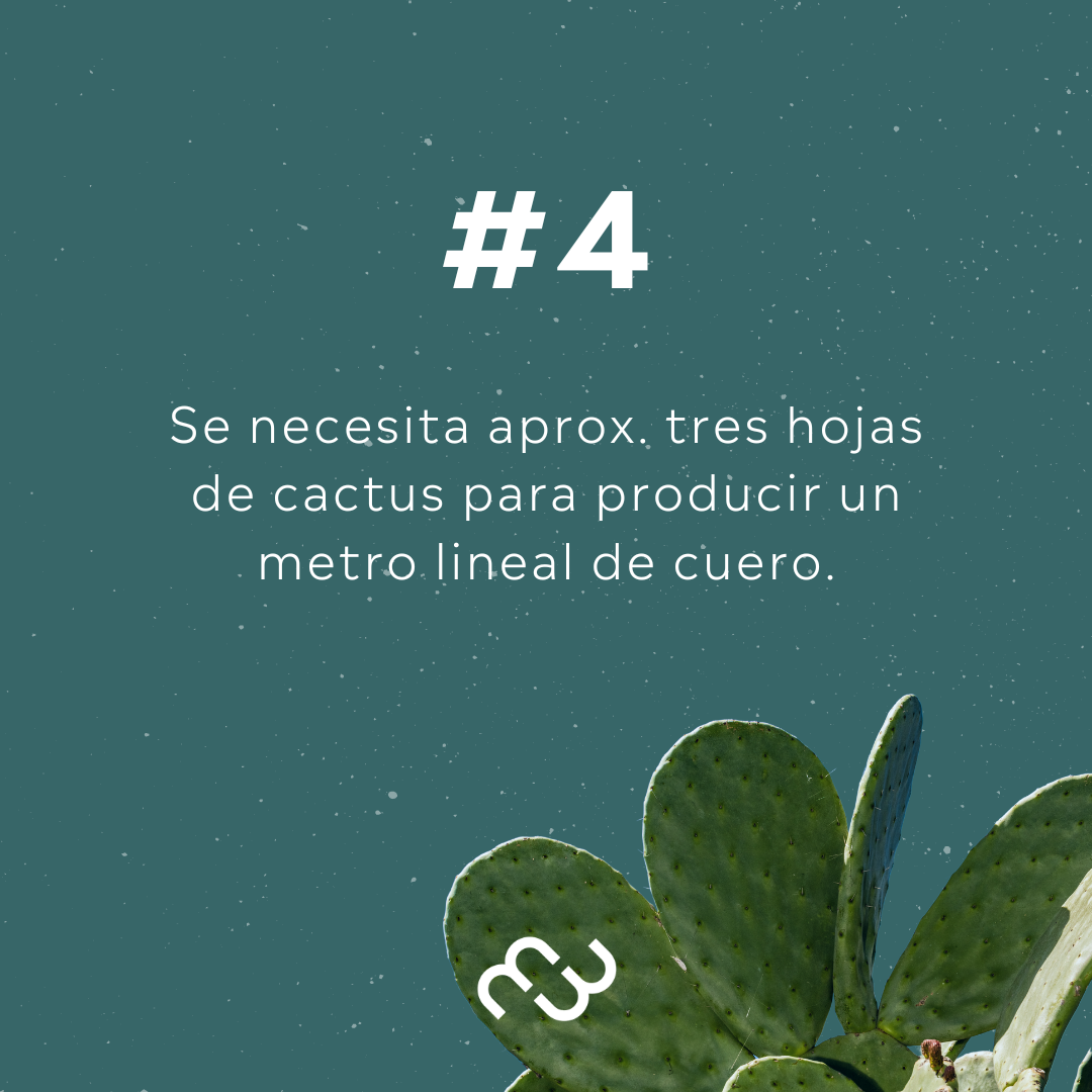 Mocasin Flat - Vegano de Cactus - FB
