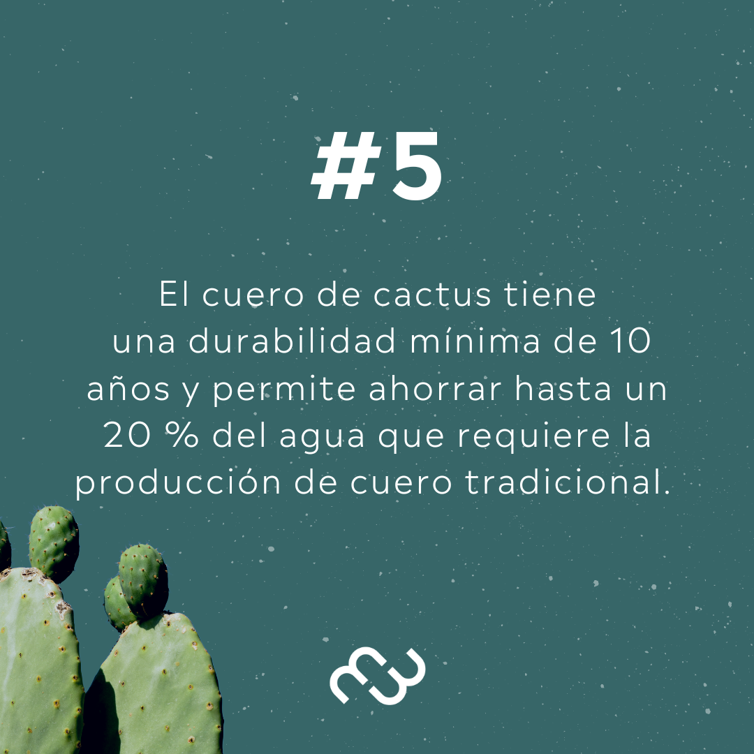 Mocasin Flat - Vegano de Cactus - FB
